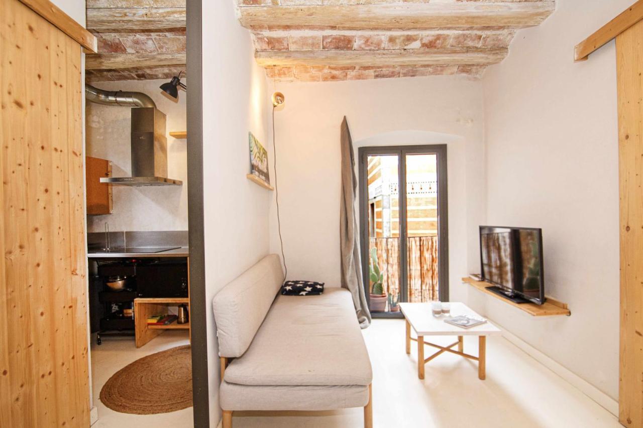 Apartamento Tr Auriga En El Barri Vell Girona Luaran gambar